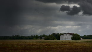 Hunton Insurance Team Wins Summary Judgment on Firm’s Own Hurricane Harvey Business Income Loss Storm in rural setting