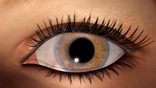 Insured’s Bad Faith Insurance Claim Evaporates Before its Eyes Human eye
