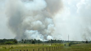 Where There's Smoke...California's New Emergency Wildfire Smoke Protection Regulation And What Employers Are Required To Do Billowing smoke on a field