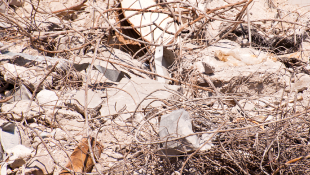 Crews Tested By Rocky Ground, Utility Challenges Rocky landscape