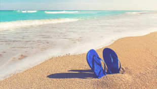 Still Going, After All This Time: the Sacketts, EPA and the Clean Water Act Sandals stuck in beach