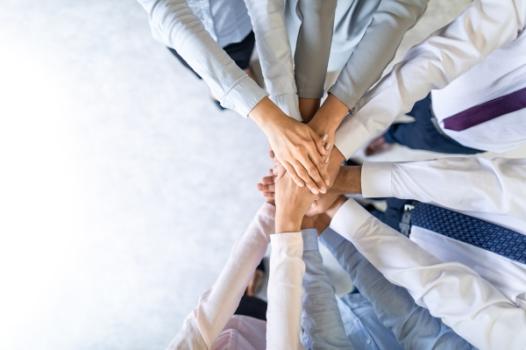 Hands arms in team gesture