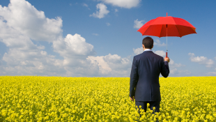 The Future of Pandemic Coverage for Real Estate Owners and Developers Businessman holding red umbrella in yellow meadow
