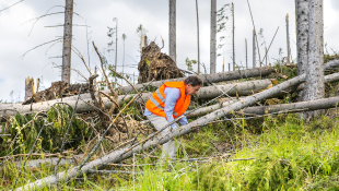 Natural Disasters’ Impact on Construction in the United States Construction workers cleaning up storm debris