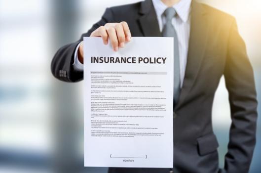 Businessperson holding insurance policy