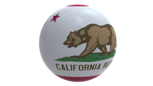 California flag on globe
