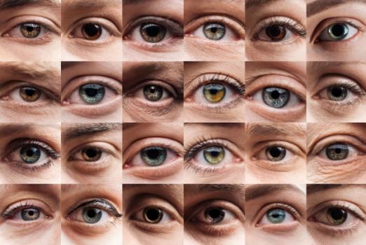 Various eyes close up