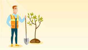Illustration of man planting tree