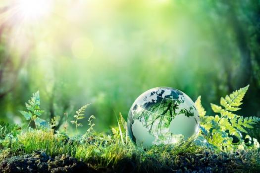 Environmental Update: Regulatory Notes – April 2025 Green grass forest with green glass earth