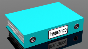 Insurance notebook file