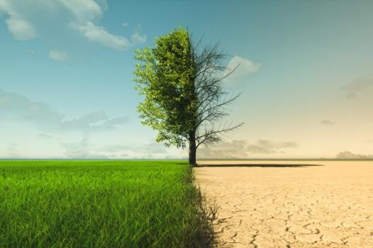 Half desert half green environment signaling climate change