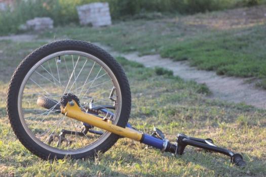 Bicycle lying on grass