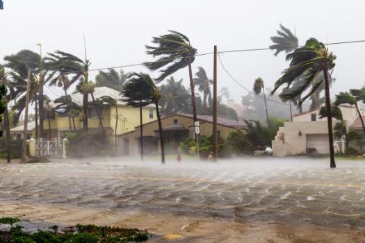 Generic Complaint Alleging Bad Faith is Insufficient Hurricane