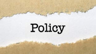 Separation of Insureds Provision in CGL Policies Policy on ripped paper