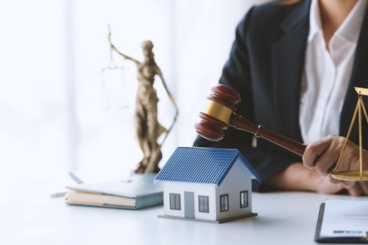 Lawyer with Lady Law and House