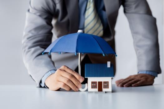 Emerging Issues in Construction CGL Insurance Part 2: The Separation of Insureds and Additional Insured Interests Person holding umbrella over model house