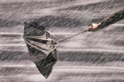 Court Denies Cross Summary Judgment Motions on Coverage for Odors in Newly Purchased Home Umbrella inside out symbolizing no coverage