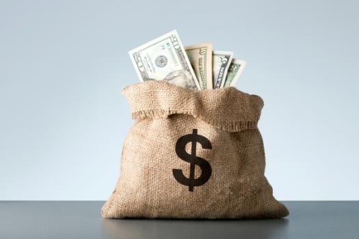 Money bag