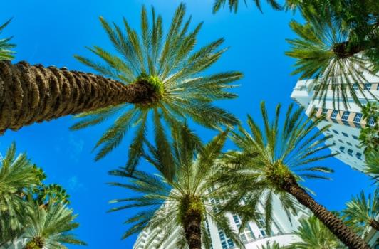 Ball Janik LLP Strengthens Miami Construction Defect Team with Litigator Nicolas Aixala Miami