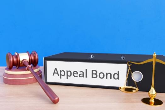 Unable To Afford an Appellate Bond? You May Be “Indigent” And Qualify for a Discretionary Waiver or Reduction of the Bond Amount. Appeals Bond