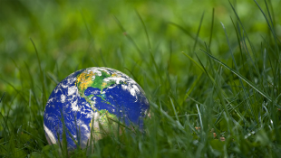 Earth globe sitting on grass