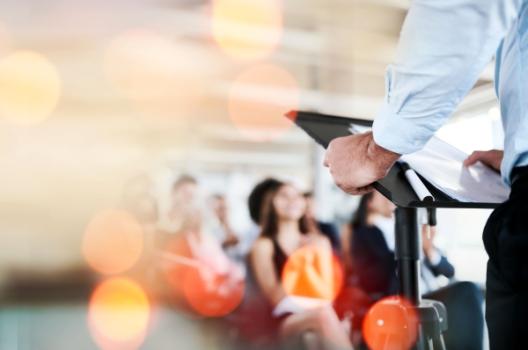 Navigating Ethical Issues in Mediation and Litigation Seminar