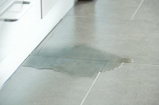Insurer’s Attempt to Eliminate Leak Claim on Summary Judgment Fails Water leak on floor